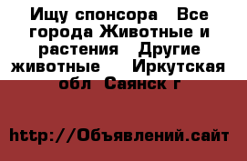 Ищу спонсора - Все города Животные и растения » Другие животные   . Иркутская обл.,Саянск г.